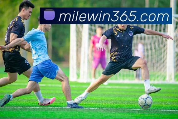 多媒体互动体验