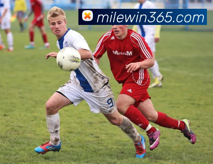 米乐APP 高清赛事图